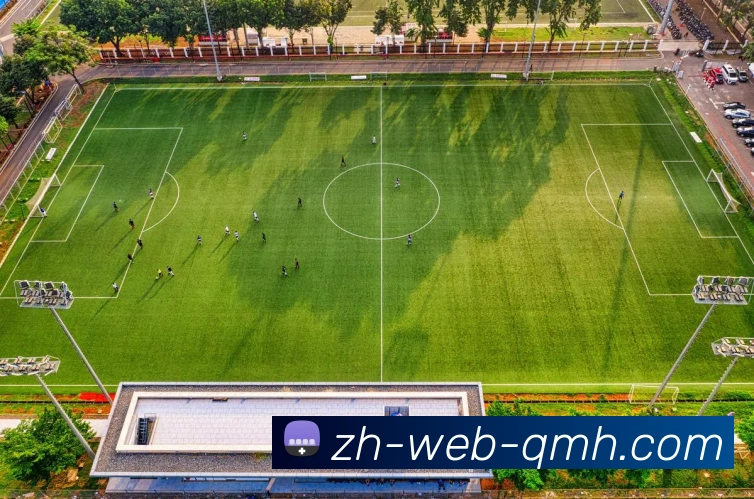 奖项图2